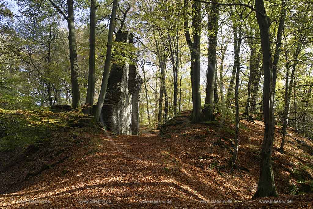 Scheel, Lindlar, Oberbergischer Kreis, Bergisches Land, Regierungsbezirk Kln, Blick auf Burg, Ruine, Burgruine Neuenburg und Waldlandschaft 