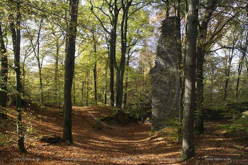 Scheel, Lindlar, Oberbergischer Kreis, Bergisches Land, Regierungsbezirk Kln, Blick auf Burg, Ruine, Burgruine Neuenburg und Waldlandschaft 