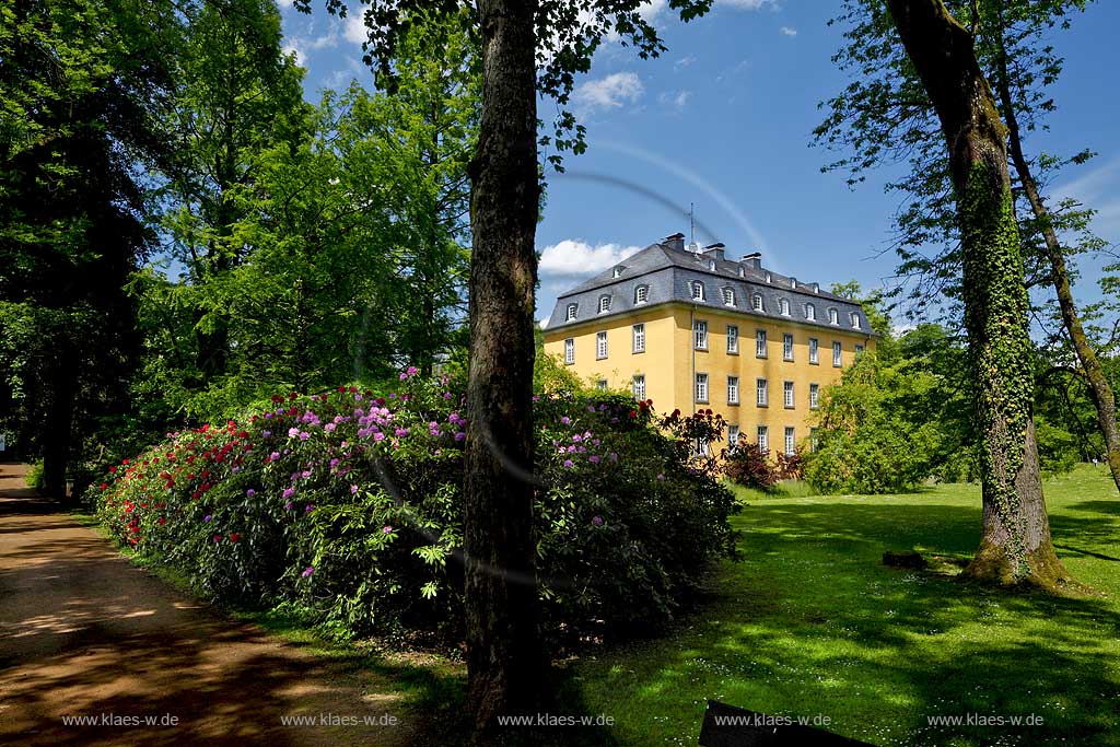 Lindlar Oberheiligenhoven, Schloss Heiligenhoven im Fruehsommer, gelbes Herrenhaus im Park mit bluehendem Rhododen, Lindlar castle Oberheiligenhoven in early summer with rhododendron in flower