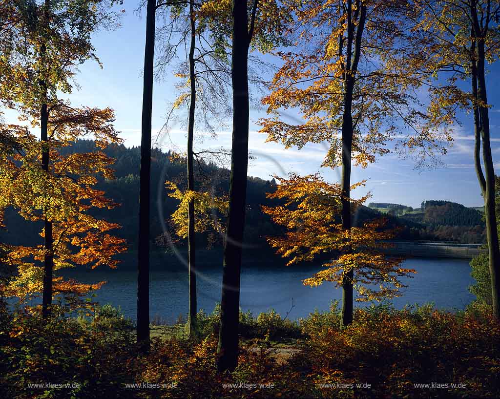 Linge, Lingese Talsperre, Marienheide, Oberbergischer Kreis, Bergisches Land, Blick auf Talsperre und Herbstlandschaft