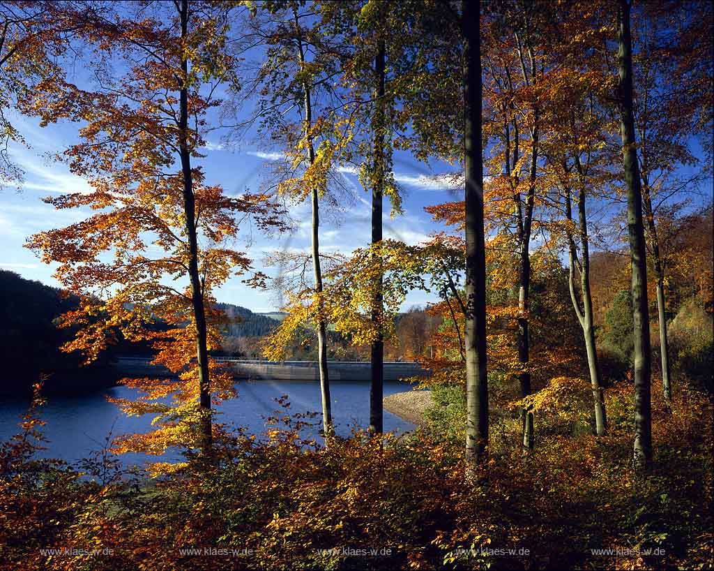 Linge, Lingese Talsperre, Marienheide, Oberbergischer Kreis, Bergisches Land, Blick auf Talsperre und Herbstlandschaft