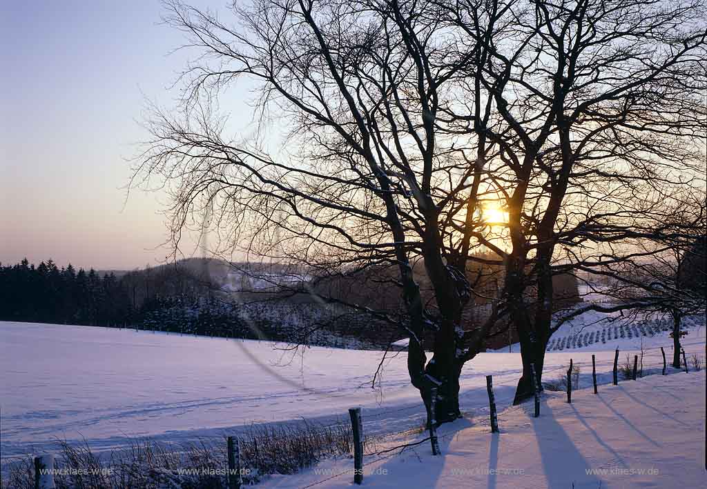 Dannberg, Marienheide, Oberbergischer Kreis, Bergisches Land, Regierungsbezirk Kln, Koeln, Blick auf Landschaft, Winterlandschaft, Schneelandschaft bei Sonnenuntergang