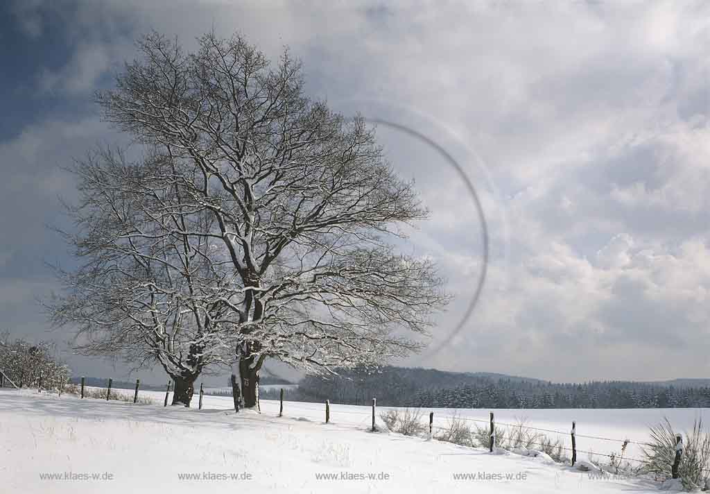 Dannberg, Marienheide, Oberbergischer Kreis, Bergisches Land, Regierungsbezirk Kln, Koeln, Blick auf Winterlandschaft, Schneelandschaft