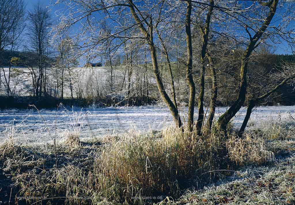 Erlinghausen, Marienheide, Oberbergischer Kreis, Bergisches Land, Regierungsbezirk Kln, Koeln, Blick auf Winterlandschaft, Leppe mit Raureif