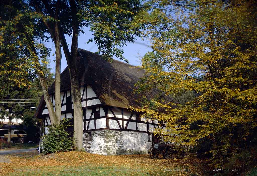 Mllenbach, Muellenbach, Marienheide, Oberbergischer Kreis, Bergisches Land, Regierungsbezirk Kln, Koeln, Blick auf Dahl Haus Schenk, Fachwerkhaus in Herbstlandschaft