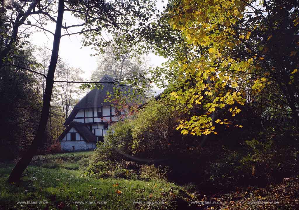 Mllenbach, Muellenbach, Marienheide, Oberbergischer Kreis, Bergisches Land, Regierungsbezirk Kln, Koeln, Blick auf Dahl Haus Schenk, Fachwerkhaus in Herbstlandschaft