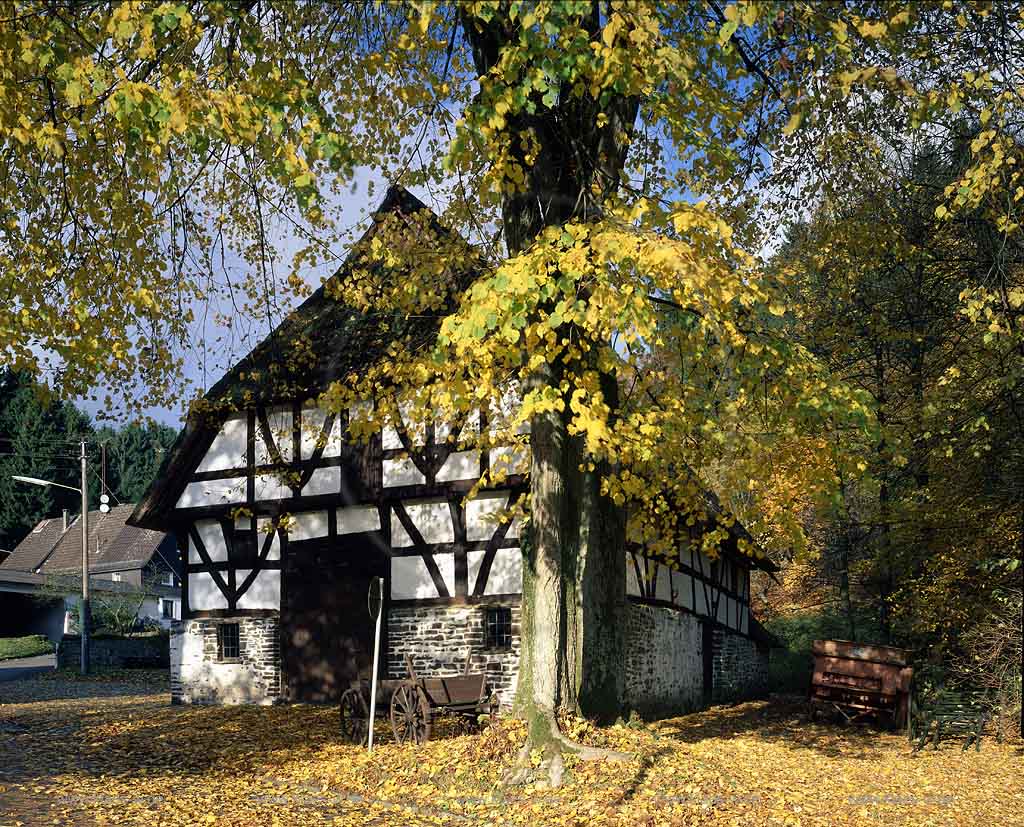 Mllenbach, Muellenbach, Marienheide, Oberbergischer Kreis, Bergisches Land, Regierungsbezirk Kln, Koeln, Blick auf Dahl Haus Schenk, Fachwerkhaus in Herbstlandschaft