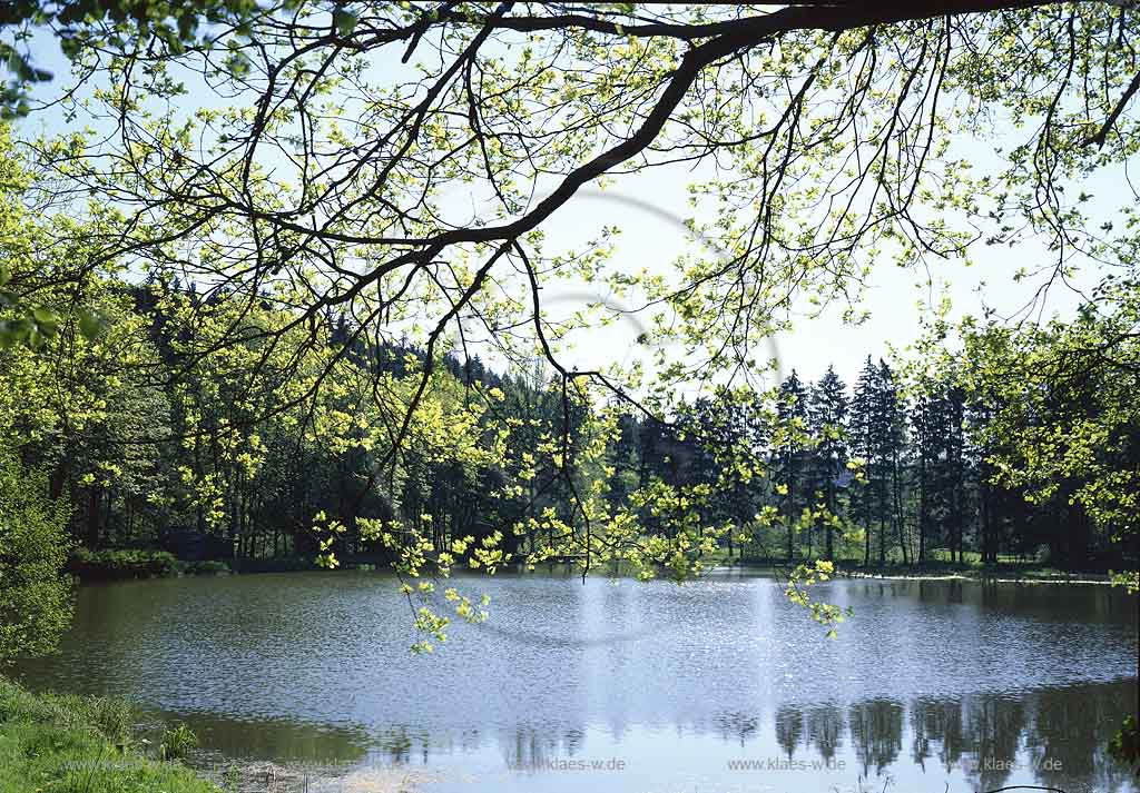 Niedergogarten-Stauweiher, Marienheide, Oberbergischer Kreis, Bergisches Land, Regierungsbezirk Kln, Koeln, Blick auf Stauweiher im Frhling, Fruehling