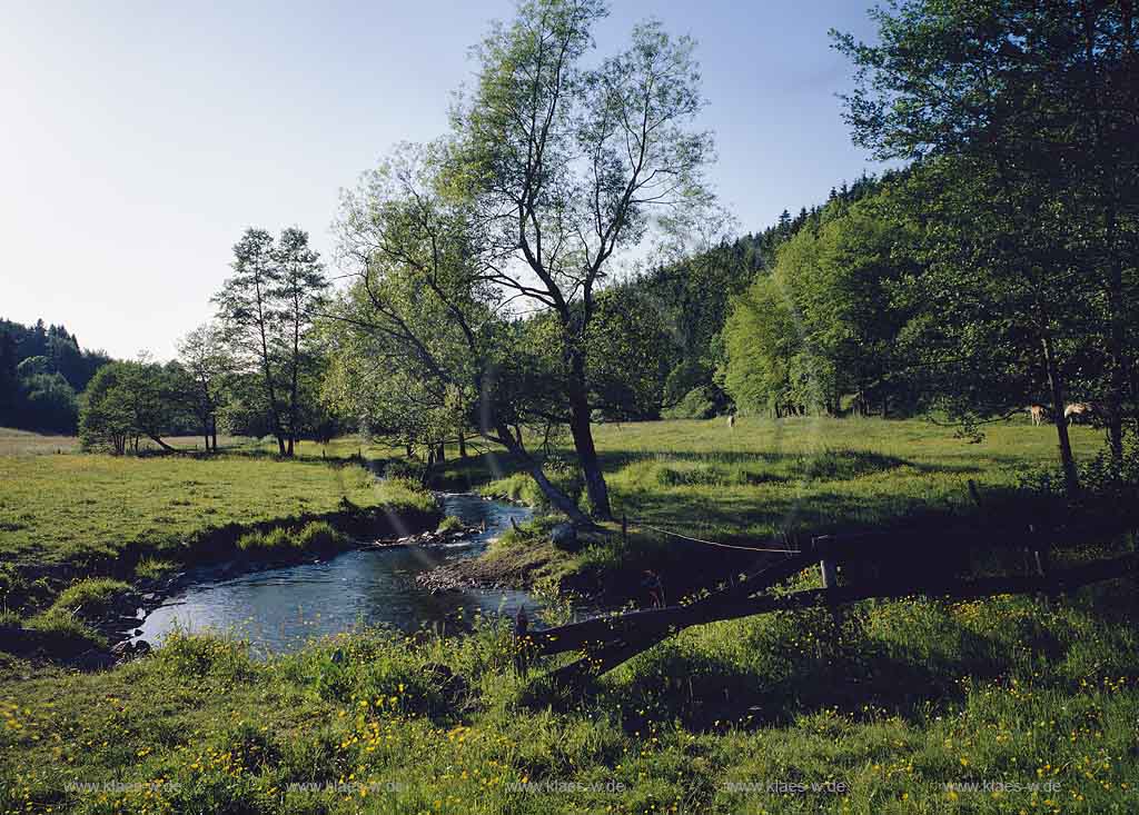 Schmitzwipper, Marienheide, Oberbergischer Kreis, Bergisches Land, Regierungsbezirk Kln, Koeln, Blick auf Landschaft und Pferden mit Wipperlauf