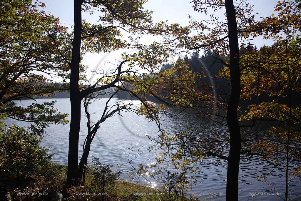 Neye, Neyetalsperre, Wipperfrth, Wipperfuerth, Oberbergischer Kreis, Bergisches Land, Regierungsbezirk Kln, Blick auf Talsperre und Landschaft in Herbststimmung  