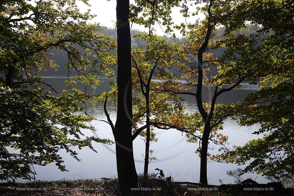 Neye, Neyetalsperre, Wipperfrth, Wipperfuerth, Oberbergischer Kreis, Bergisches Land, Regierungsbezirk Kln, Blick auf Talsperre und Landschaft in Herbststimmung  