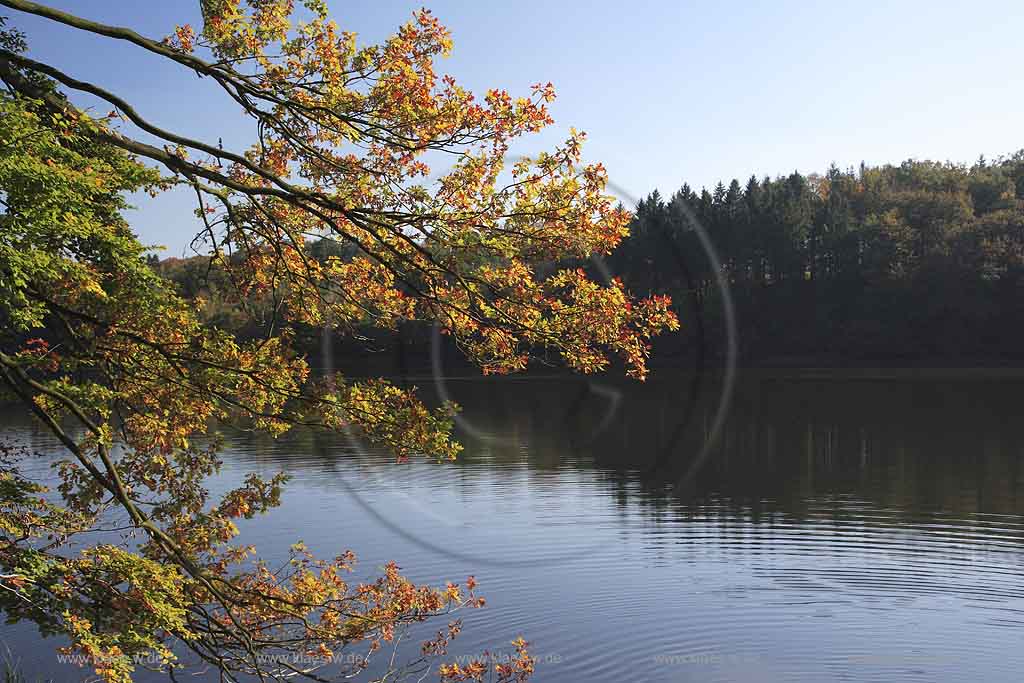 Neye, Neyetalsperre, Wipperfrth, Wipperfuerth, Oberbergischer Kreis, Bergisches Land, Regierungsbezirk Kln, Blick auf Talsperre und Landschaft in Herbststimmung  