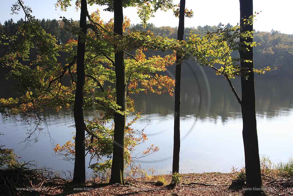 Neye, Neyetalsperre, Wipperfrth, Wipperfuerth, Oberbergischer Kreis, Bergisches Land, Regierungsbezirk Kln, Blick auf Talsperre und Landschaft in Herbststimmung  