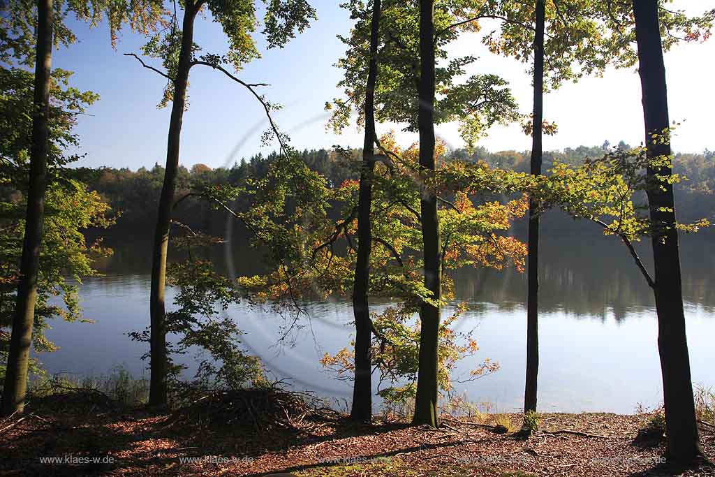 Neye, Neyetalsperre, Wipperfrth, Wipperfuerth, Oberbergischer Kreis, Bergisches Land, Regierungsbezirk Kln, Blick auf Talsperre und Landschaft in Herbststimmung  