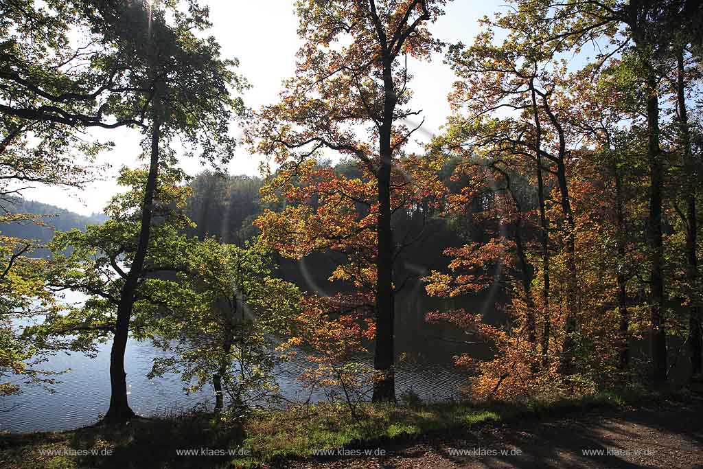 Neye, Neyetalsperre, Wipperfrth, Wipperfuerth, Oberbergischer Kreis, Bergisches Land, Regierungsbezirk Kln, Blick auf Talsperre und Landschaft in Herbststimmung  