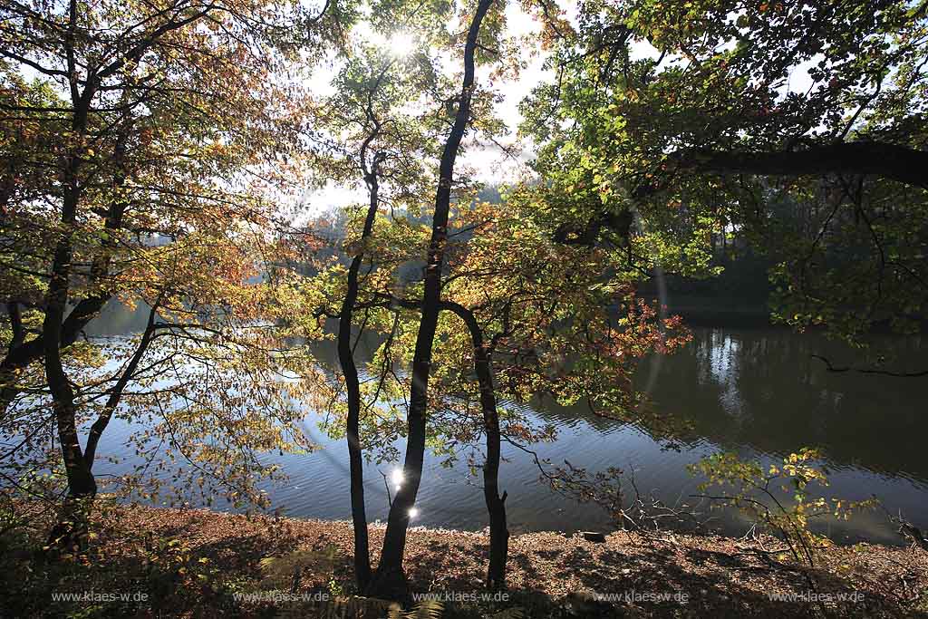 Neye, Neyetalsperre, Wipperfrth, Wipperfuerth, Oberbergischer Kreis, Bergisches Land, Regierungsbezirk Kln, Blick auf Talsperre und Landschaft in Herbststimmung  