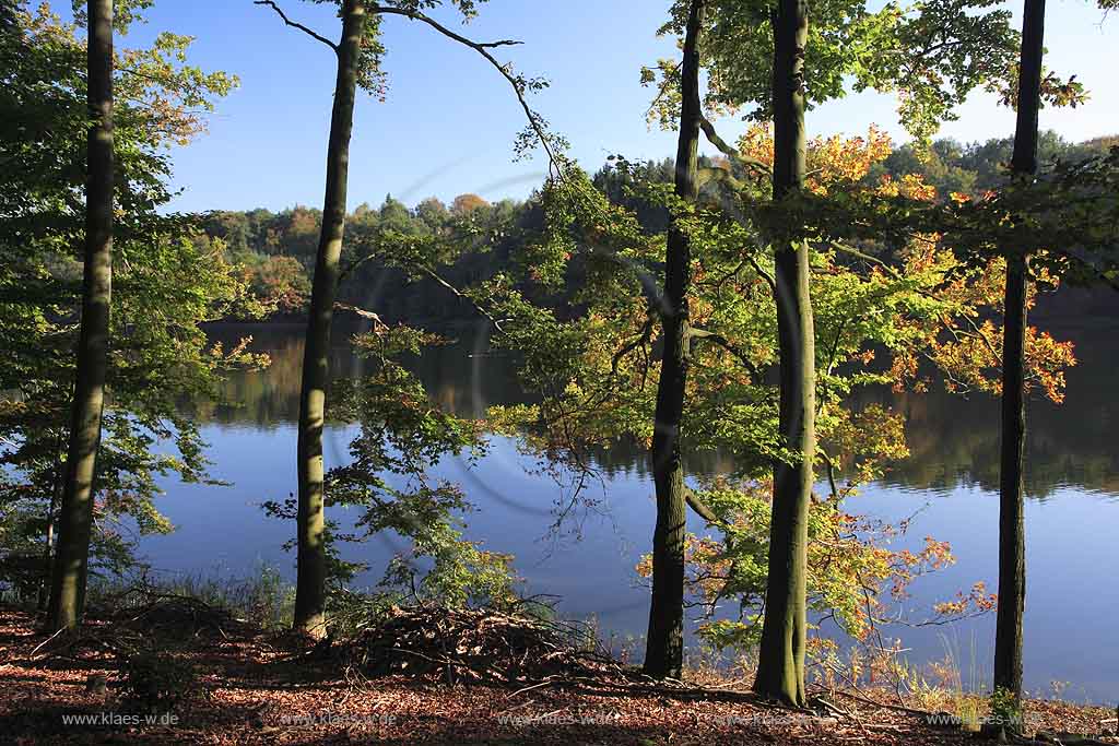 Neye, Neyetalsperre, Wipperfrth, Wipperfuerth, Oberbergischer Kreis, Bergisches Land, Regierungsbezirk Kln, Blick auf Talsperre und Landschaft in Herbststimmung  