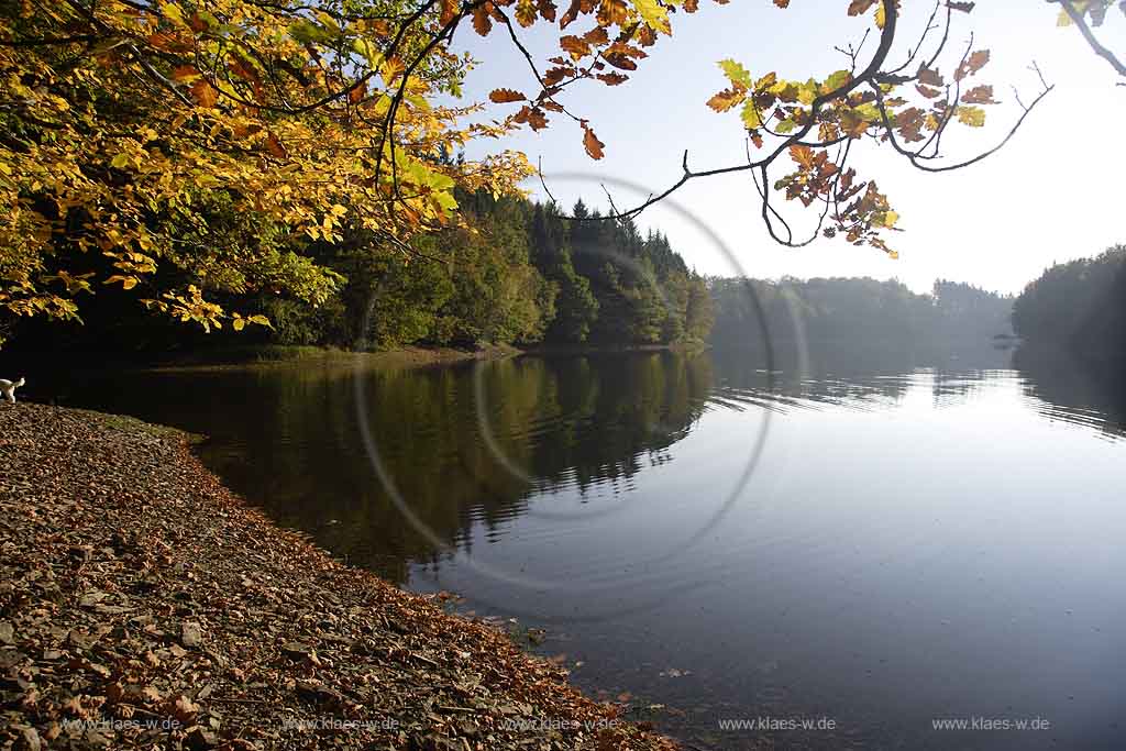 Neye, Neyetalsperre, Wipperfrth, Wipperfuerth, Oberbergischer Kreis, Bergisches Land, Regierungsbezirk Kln, Blick auf Talsperre und Landschaft in Herbststimmung  