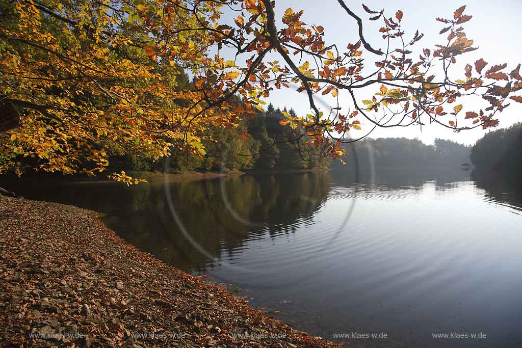 Neye, Neyetalsperre, Wipperfrth, Wipperfuerth, Oberbergischer Kreis, Bergisches Land, Regierungsbezirk Kln, Blick auf Talsperre und Landschaft in Herbststimmung  