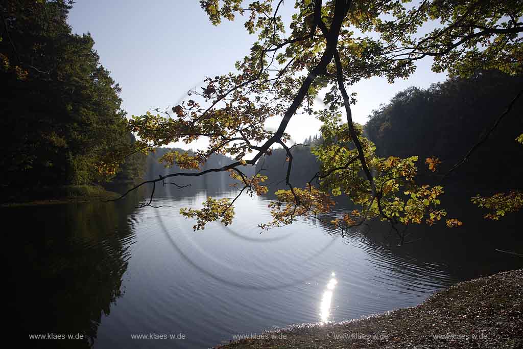 Neye, Neyetalsperre, Wipperfrth, Wipperfuerth, Oberbergischer Kreis, Bergisches Land, Regierungsbezirk Kln, Blick auf Talsperre und Landschaft in Herbststimmung  