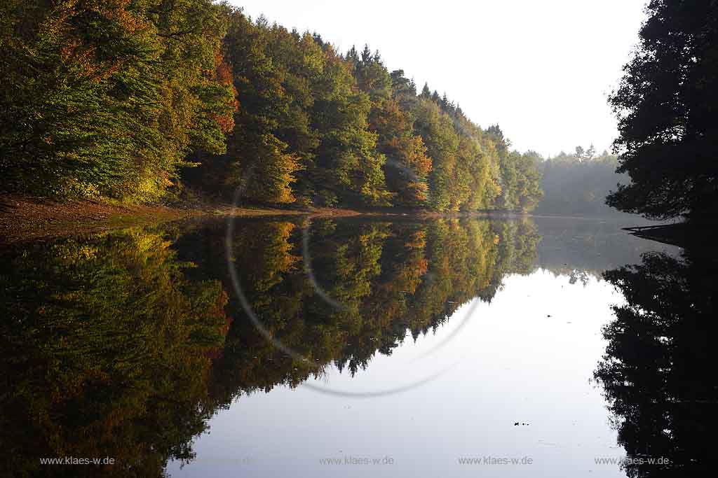 Neye, Neyetalsperre, Wipperfrth, Wipperfuerth, Oberbergischer Kreis, Bergisches Land, Regierungsbezirk Kln, Blick auf Talsperre und Landschaft in Herbststimmung  