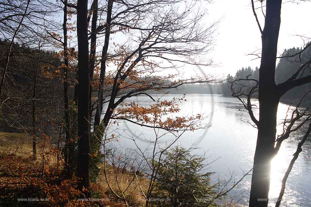 Neye, Neyetalsperre, Wipperfrth, Wipperfuerth, Oberbergischer Kreis, Bergisches Land, Regierungsbezirk Kln, Blick auf Talsperre und Landschaft in Herbststimmung  