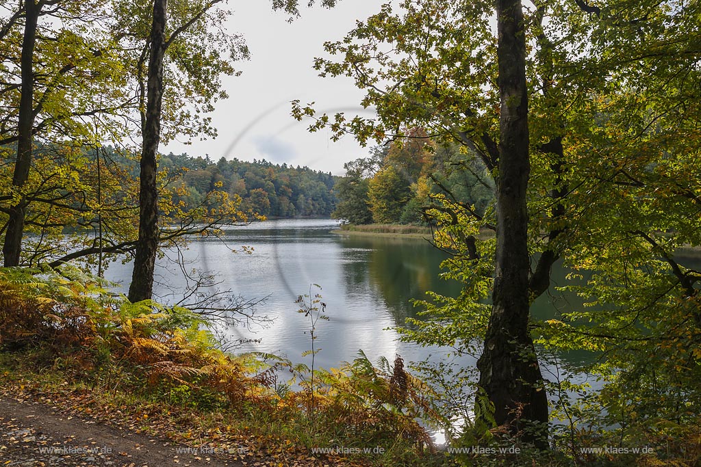 Wipperfuerth, Neyetalsperre in Herbststimmung; Wipperfuerth, barrage Neyetalsperre in autumn impression.