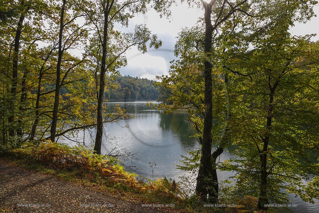 Wipperfuerth, Neyetalsperre in Herbststimmung; Wipperfuerth, barrage Neyetalsperre in autumn impression.