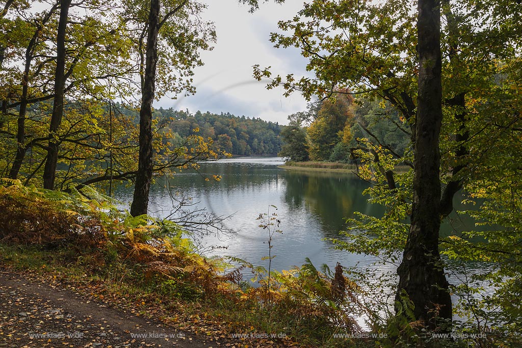 Wipperfuerth, Neyetalsperre in Herbststimmung; Wipperfuerth, barrage Neyetalsperre in autumn impression.