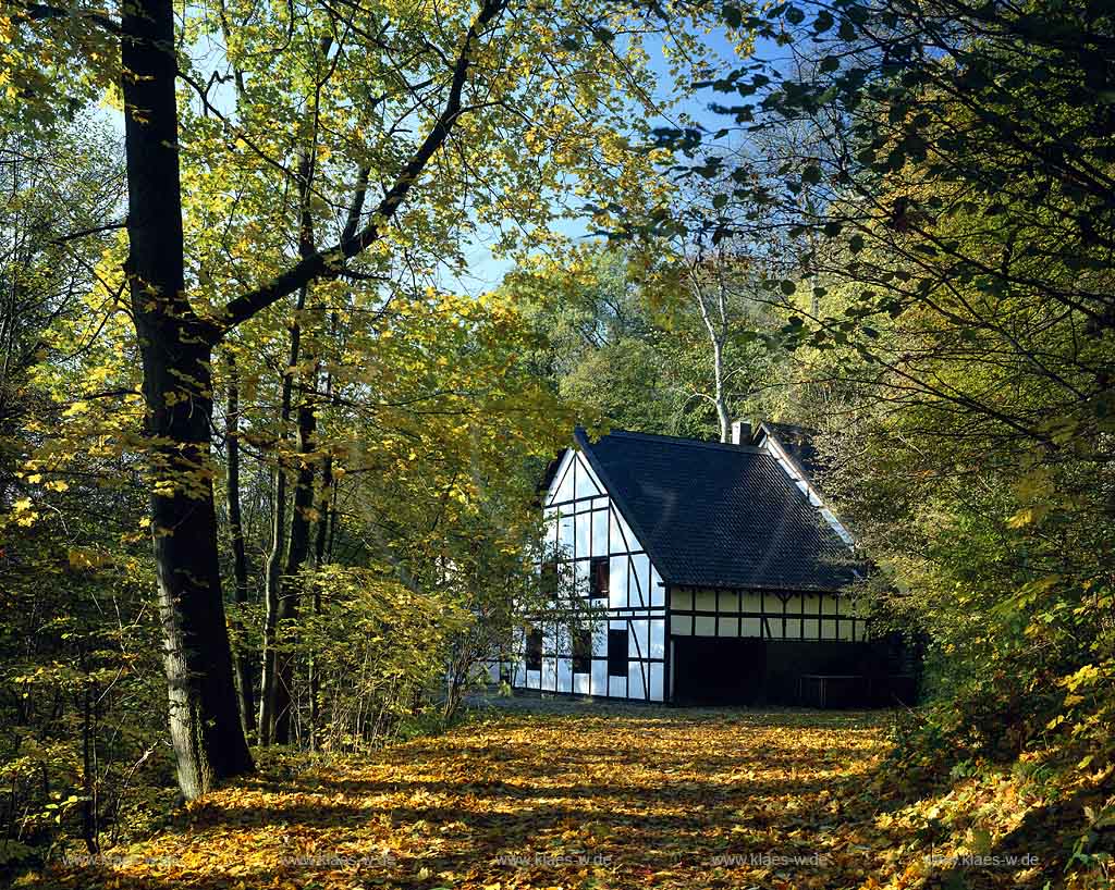 Nmbrecht, Nuembrecht, Oberbergischer Kreis, Bergisches Land, Regierungsbezirk Kln, Blick auf Fachwerkkotten, Fachwerkhaus in Herbstlandschaft  