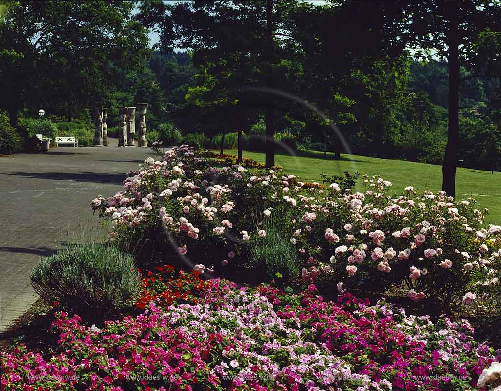 Nmbrecht, Nuembrecht, Oberbergischer Kreis, Bergisches Land, Regierungsbezirk Kln, Blick in Kurpark in Sommerlandschaft