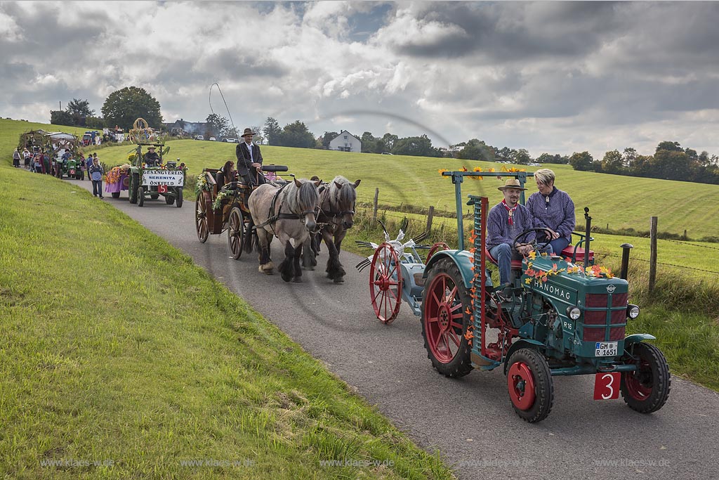 Radevormwald-Oenkfeld, Erntedankfest, Umzug mit floristisch anspruchsvoll gestalteten und Felderzeugnissen kunstvoll dekorierten Traktoren und Erntewagen, dazwischen die von zwei Kaltbluetern gezogene offene Kutsche mit der Erntekoenigin und ihren zwei Prinzessinen.