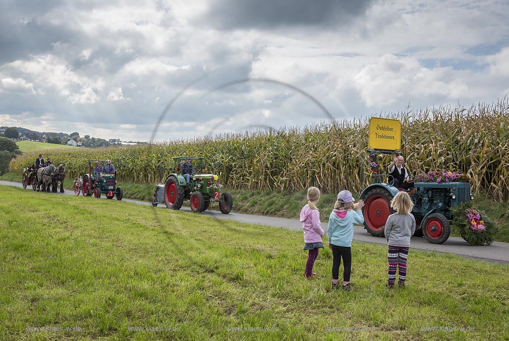 Radevormwald-Oenkfeld, Erntedankfest, Umzug mit floristisch anspruchsvoll gestalteten und Felderzeugnissen kunstvoll dekorierten Traktoren und Erntewagen, dazwischen die von zwei Kaltbluetern gezogene offene Kutsche mit der Erntekoenigin und ihren zwei Prinzessinen.