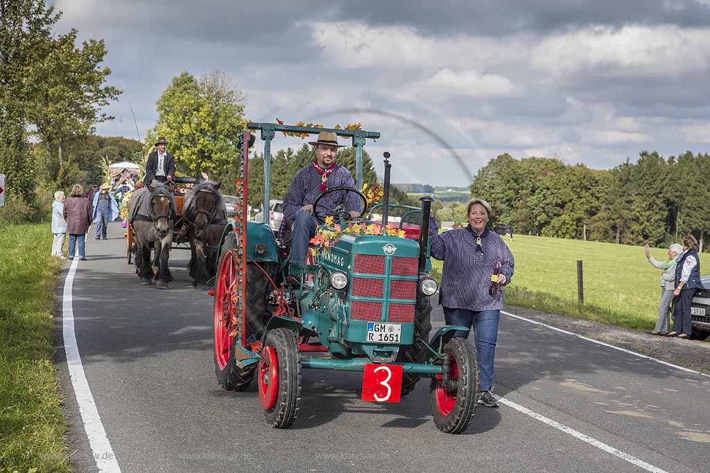 Radevormwald-Oenkfeld, Erntedankfest, Umzug mit floristisch anspruchsvoll gestalteten und Felderzeugnissen kunstvoll dekorierten Traktoren und Erntewagen, dazwischen die von zwei Kaltbluetern gezogene offene Kutsche mit der Erntekoenigin und ihren zwei Prinzessinen auf der L483.