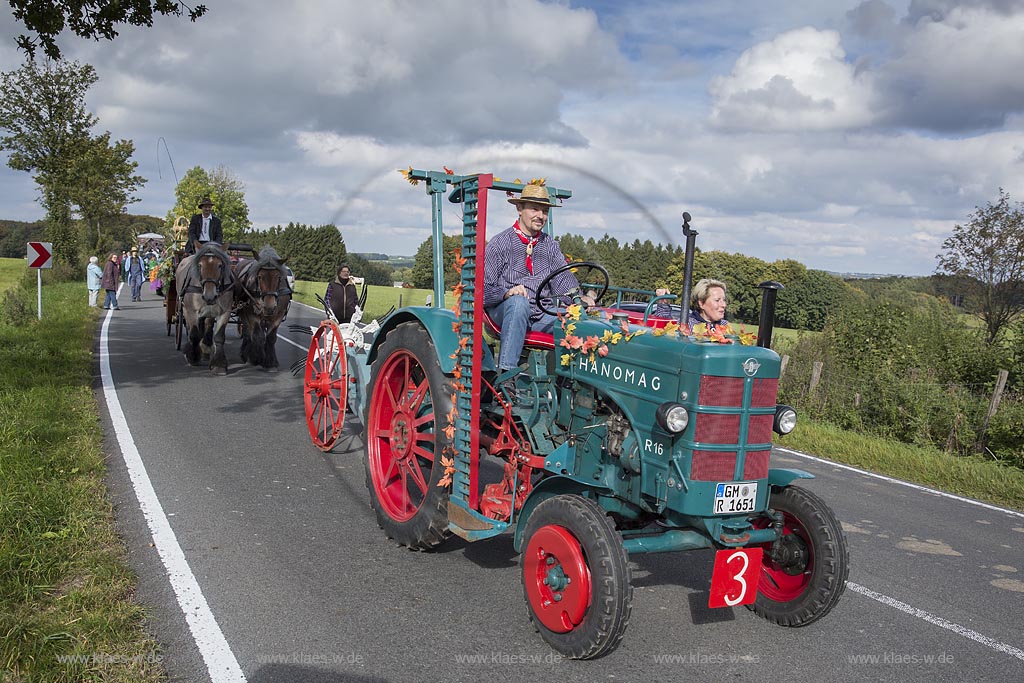 Radevormwald-Oenkfeld, Erntedankfest, Umzug mit floristisch anspruchsvoll gestalteten und Felderzeugnissen kunstvoll dekorierten Traktoren und Erntewagen, dazwischen die von zwei Kaltbluetern gezogene offene Kutsche mit der Erntekoenigin und ihren zwei Prinzessinen auf der L483.