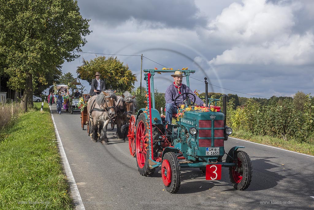 Radevormwald-Oenkfeld, Erntedankfest, Umzug mit floristisch anspruchsvoll gestalteten und Felderzeugnissen kunstvoll dekorierten Traktoren und Erntewagen, dazwischen die von zwei Kaltbluetern gezogene offene Kutsche mit der Erntekoenigin und ihren zwei Prinzessinen auf der L483.