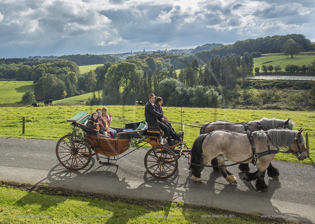 Radevormwald-Oenkfeld, Erntedankfest, Umzug mit der von zwei Kaltbluetern gezogenen offene Kutsche mit der Erntekoenigin und ihren zwei Prinzessinen in Rochollsberg. Im fernen Hintergund die Stadtsilhouette von Radevormwald mit Ihren vier Kirchtuermen.