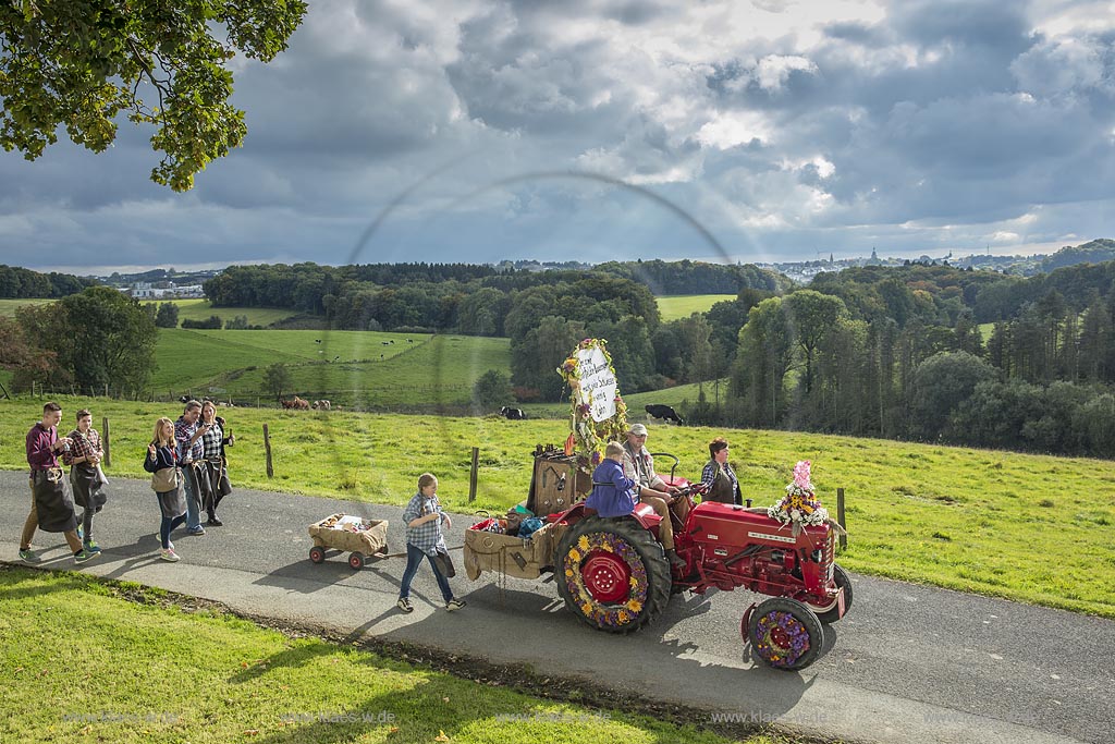 Radevormwald-Oenkfeld, Erntedankfest, Umzug. Mit  Felderzeugnissen dekorierter Traktor in Rochollsberg. Im fernen Hintergund die Stadtsilhouette von Radevormwald mit Ihren vier Kirchtuermen.