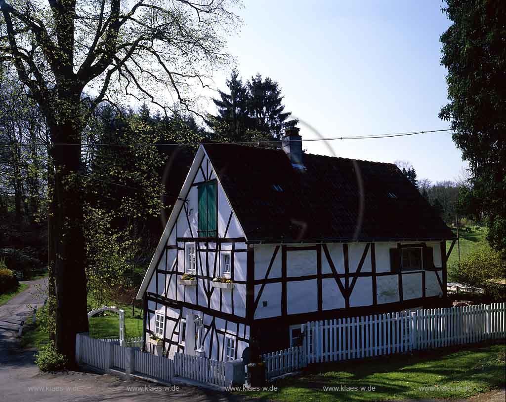 Radevormwald, Oberbergischer Kreis, Bergisches Land, Regierungsbezirk Kln, Blick auf Fachwerkhaus Namens Kaffeekanne in Frhlingslandschaft, Fruehlingslandschaft 