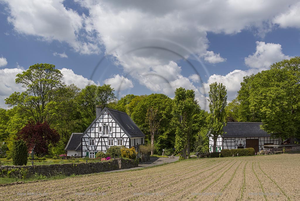 Radevormwald Lorenzhaus, Fachwerkhaus in Fruehlingslandschaft; Radevormwald Lorenzhaus, framework house  in springtime landscape.