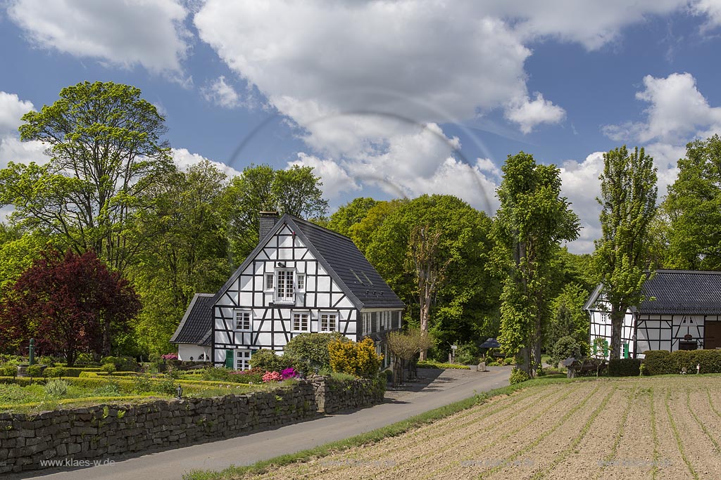 Radevormwald Lorenzhaus, Fachwerkhaus in Fruehlingslandschaft; Radevormwald Lorenzhaus, framework house  in springtime landscape.