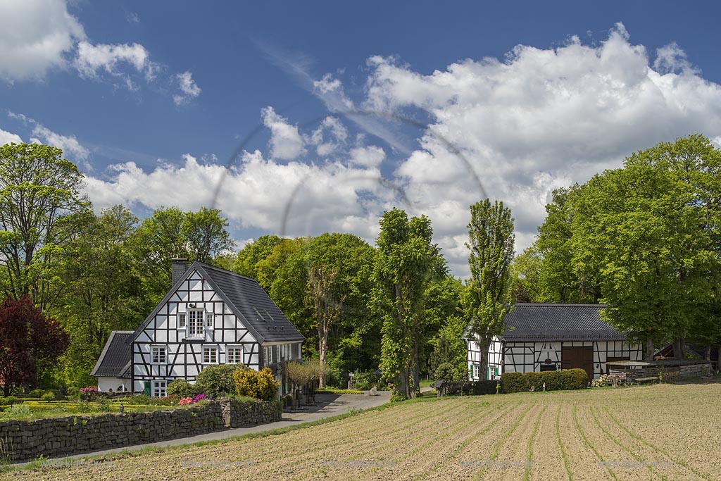 Radevormwald Lorenzhaus, Fachwerkhaus in Fruehlingslandschaft; Radevormwald Lorenzhaus, framework house  in springtime landscape.