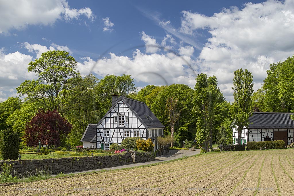 Radevormwald Lorenzhaus, Fachwerkhaus in Fruehlingslandschaft; Radevormwald Lorenzhaus, framework house  in springtime landscape.