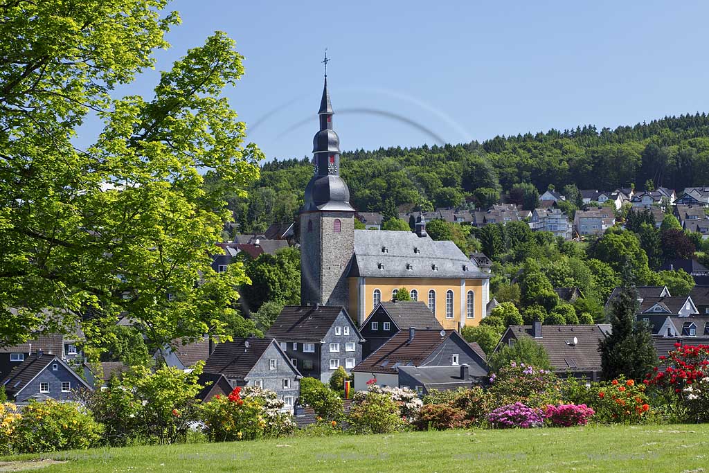 Reichshof Eckenhagen, Blick auf den Ortskern mit evangelischer Barockkirche im Mittelpunkt ,  Frhsommer Stadtlandschaft mit bluehenden Azaleen; view to the town centre with a baroque church in midpoint, early summer citycape with blooming azalea