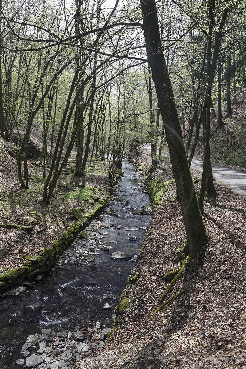 Remscheid, Hammertal, Lobach am Industriegeschichtspfad Hammertal; Remscheid view onto the beck Lobach at the historical industrial path Hammertal.