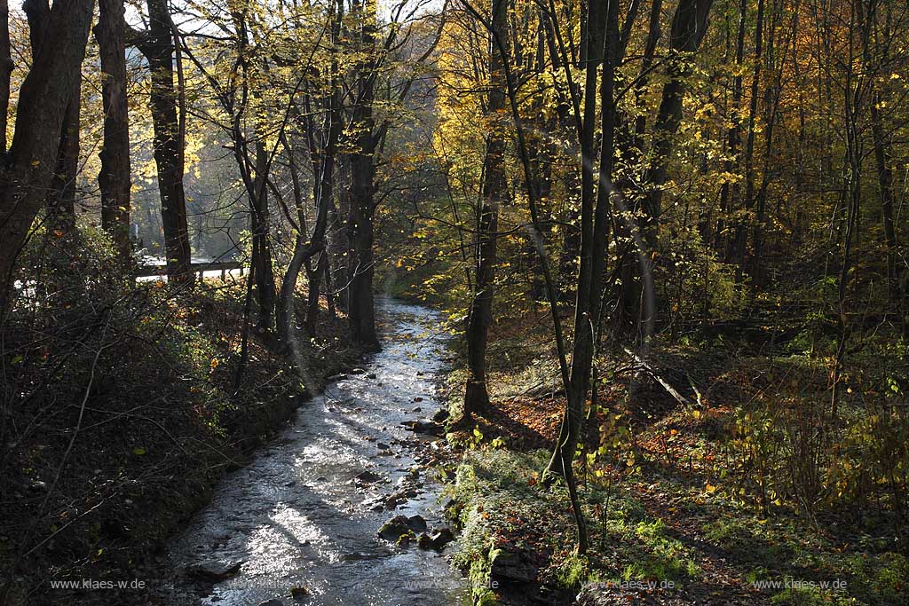 Remscheid, der Lobach am Unterlauf am Industriegeschichtspfad Hammertal, Gegenlicht, Herbststimmung; Remscheid view onto the beck Lobach at the historical industrial path Hammertal