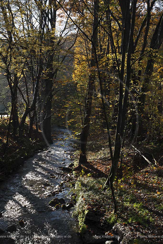 Remscheid, der Lobach am Unterlauf am Industriegeschichtspfad Hammertal, Gegenlicht, Herbststimmung; Remscheid view onto the beck Lobach at the historical industrial path Hammertal