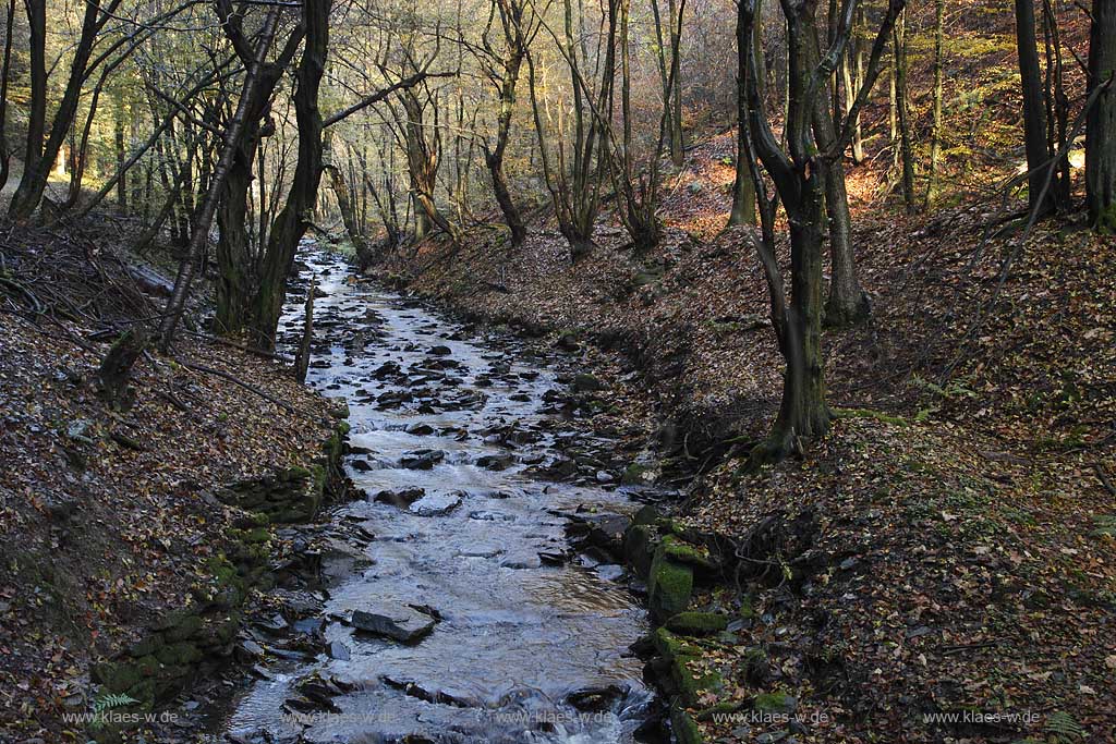 Remscheid, der Lobach am Industriegeschichtspfad Hammertal; Remscheid view onto the beck Lobach at the historical industrial path Hammertal