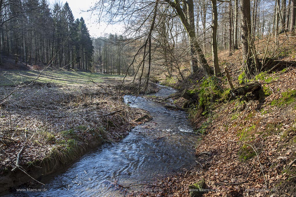 Remscheid, Eschbach kurz vor der Muendung in die Remscheider Talsperre, auch Eschbachtalperre; Remscheid, beck Eschbach.