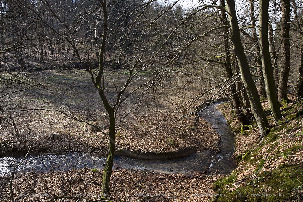 Remscheid, Eschbach kurz vor der Muendung in die Remscheider Talsperre, auch Eschbachtalperre; Remscheid, beck Eschbach.
